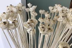IMG-20251211-WA0031