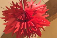 motion_photo_6695987637293269957