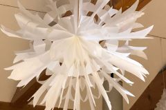 motion_photo_8541073609966249077